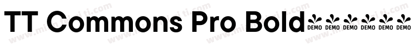 TT Commons Pro Bold字体转换